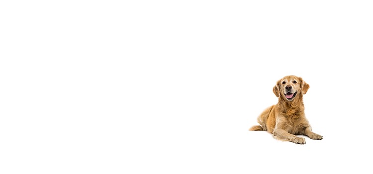 Veterinary Pharmaceuticals 